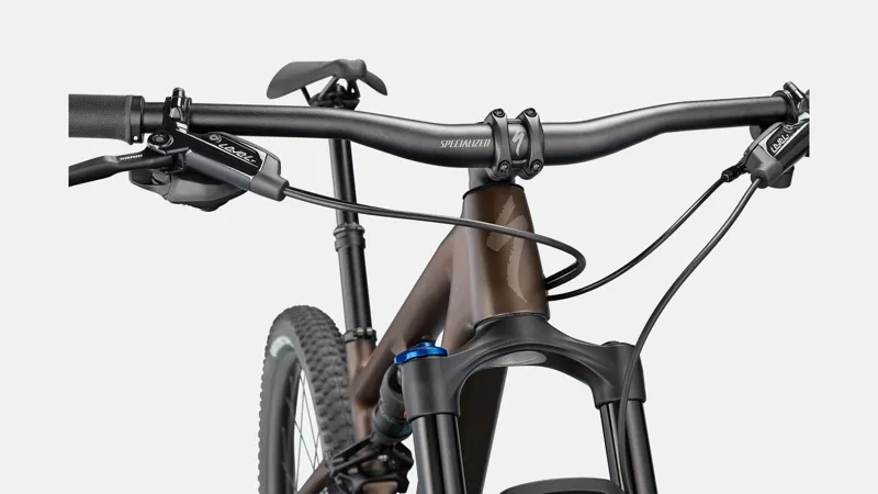 Specialized Epic EVO Mountain Bike in Brown-2