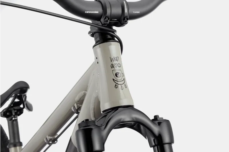 2021 Cannondale Dave Trail Bike in Grey-3