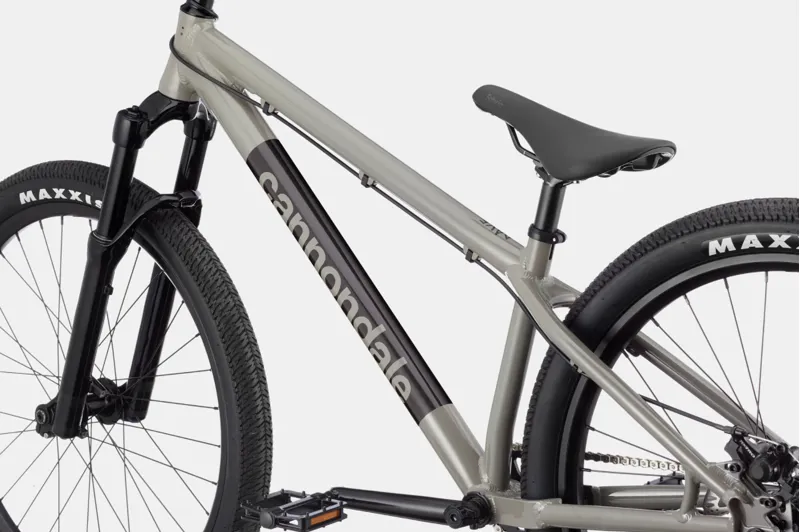 2021 Cannondale Dave Trail Bike in Grey-2